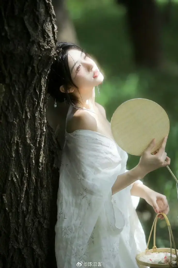 视频版权保护示意图